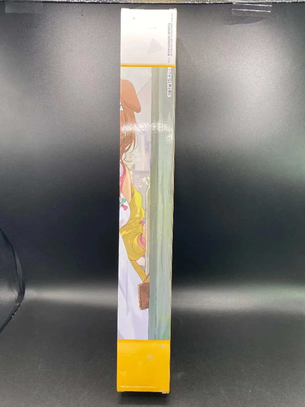 Bandai Spirits Hololive Inugami Korone Canvas-Style Tapestry A2 New